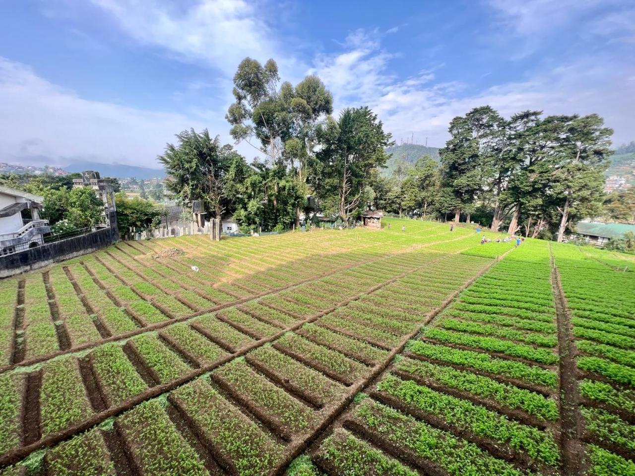 Lake View Residencies Nuwara Eliya Exterior foto